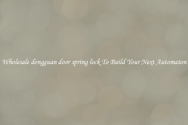 Wholesale dongguan door spring lock To Build Your Next Automaton