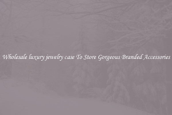 Wholesale luxury jewelry case To Store Gorgeous Branded Accessories