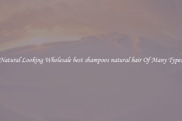 Natural Looking Wholesale best shampoos natural hair Of Many Types