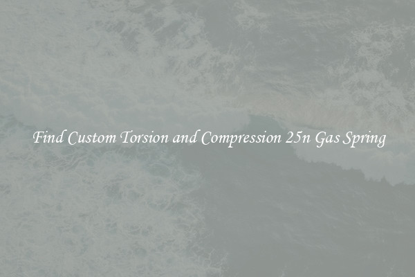 Find Custom Torsion and Compression 25n Gas Spring