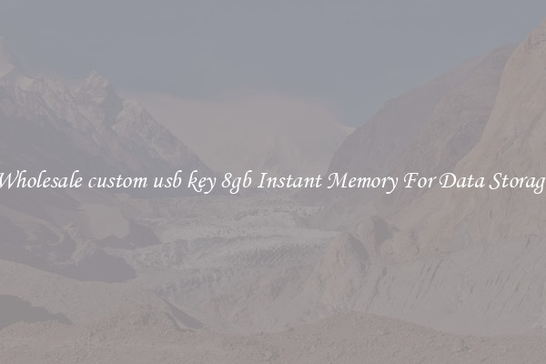 Wholesale custom usb key 8gb Instant Memory For Data Storage