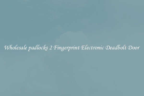 Wholesale padlocks 2 Fingerprint Electronic Deadbolt Door 