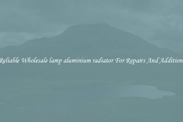 Reliable Wholesale lamp aluminium radiator For Repairs And Additions