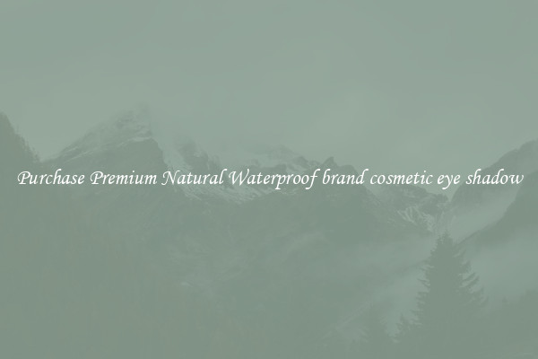 Purchase Premium Natural Waterproof brand cosmetic eye shadow