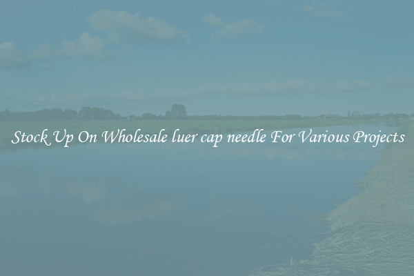 Stock Up On Wholesale luer cap needle For Various Projects