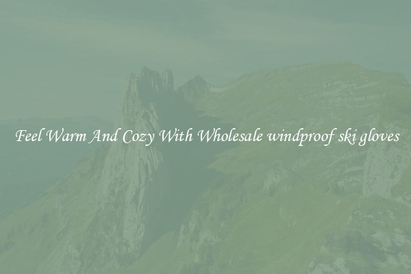 Feel Warm And Cozy With Wholesale windproof ski gloves