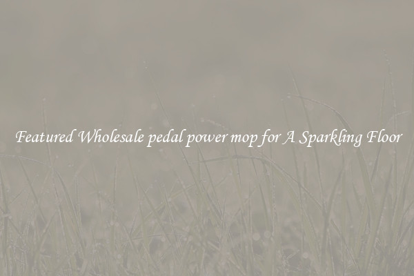 Featured Wholesale pedal power mop for A Sparkling Floor