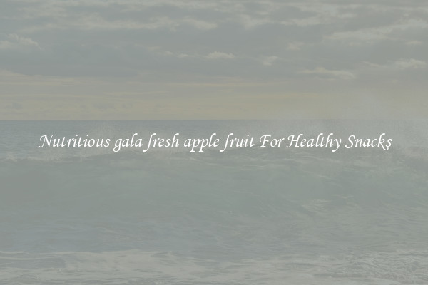 Nutritious gala fresh apple fruit For Healthy Snacks