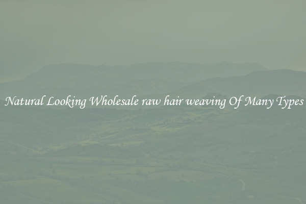 Natural Looking Wholesale raw hair weaving Of Many Types