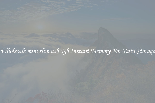 Wholesale mini slim usb 4gb Instant Memory For Data Storage