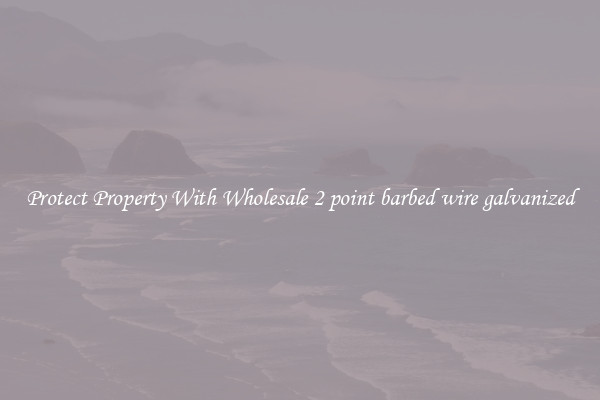 Protect Property With Wholesale 2 point barbed wire galvanized
