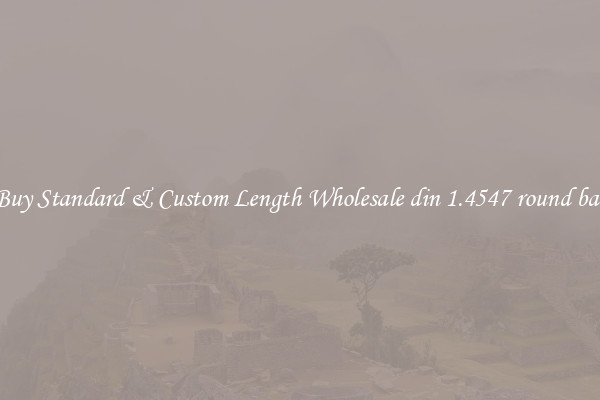 Buy Standard & Custom Length Wholesale din 1.4547 round bar