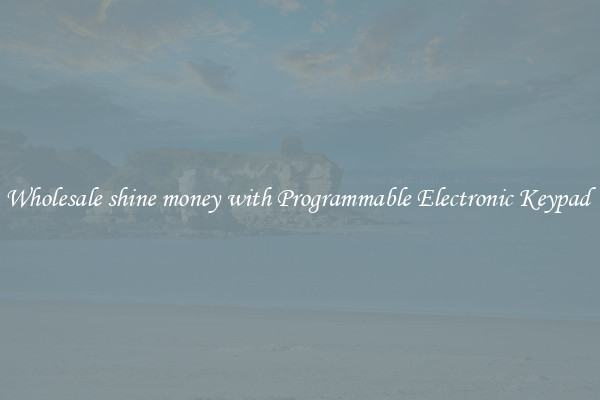 Wholesale shine money with Programmable Electronic Keypad 