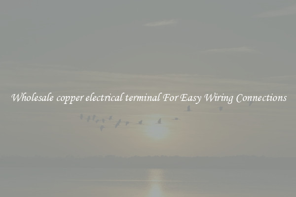 Wholesale copper electrical terminal For Easy Wiring Connections
