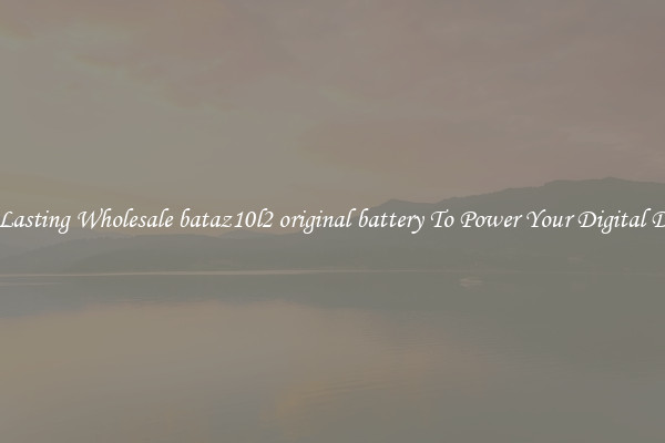 Long Lasting Wholesale bataz10l2 original battery To Power Your Digital Devices