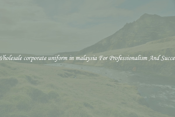 Wholesale corporate uniform in malaysia For Professionalism And Success