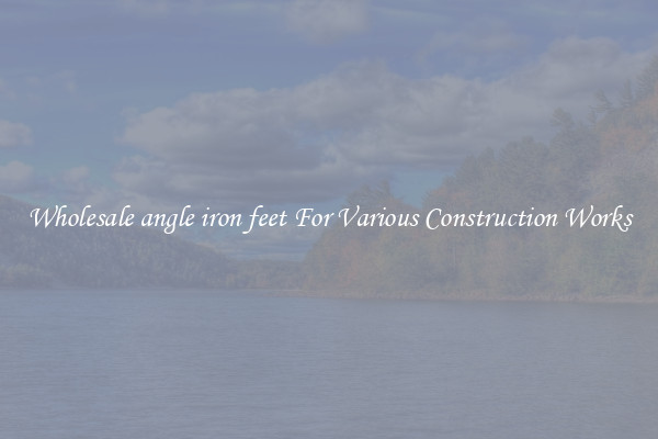 Wholesale angle iron feet For Various Construction Works