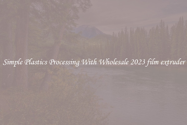 Simple Plastics Processing With Wholesale 2023 film extruder