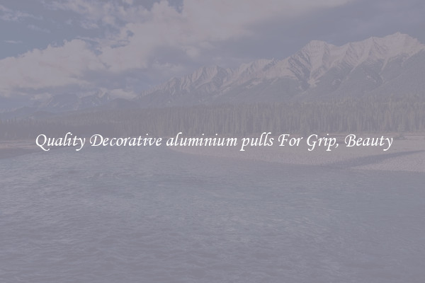 Quality Decorative aluminium pulls For Grip, Beauty