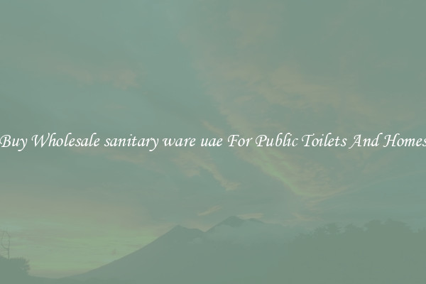 Buy Wholesale sanitary ware uae For Public Toilets And Homes