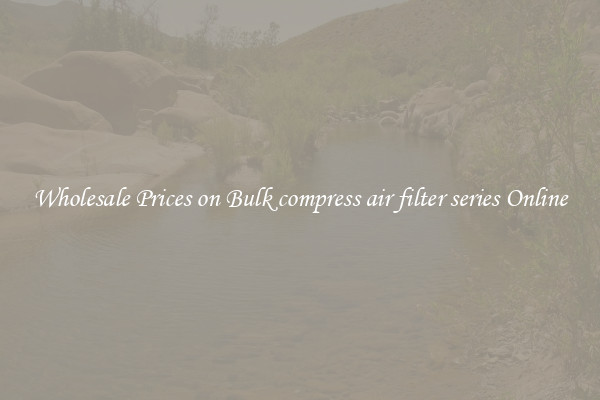 Wholesale Prices on Bulk compress air filter series Online