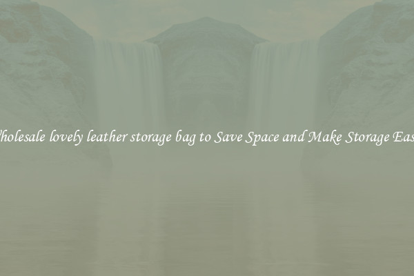 Wholesale lovely leather storage bag to Save Space and Make Storage Easier